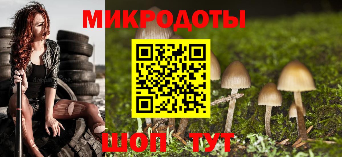 Псилоцибиновые грибы Psilocybine cubensis Октябрьский